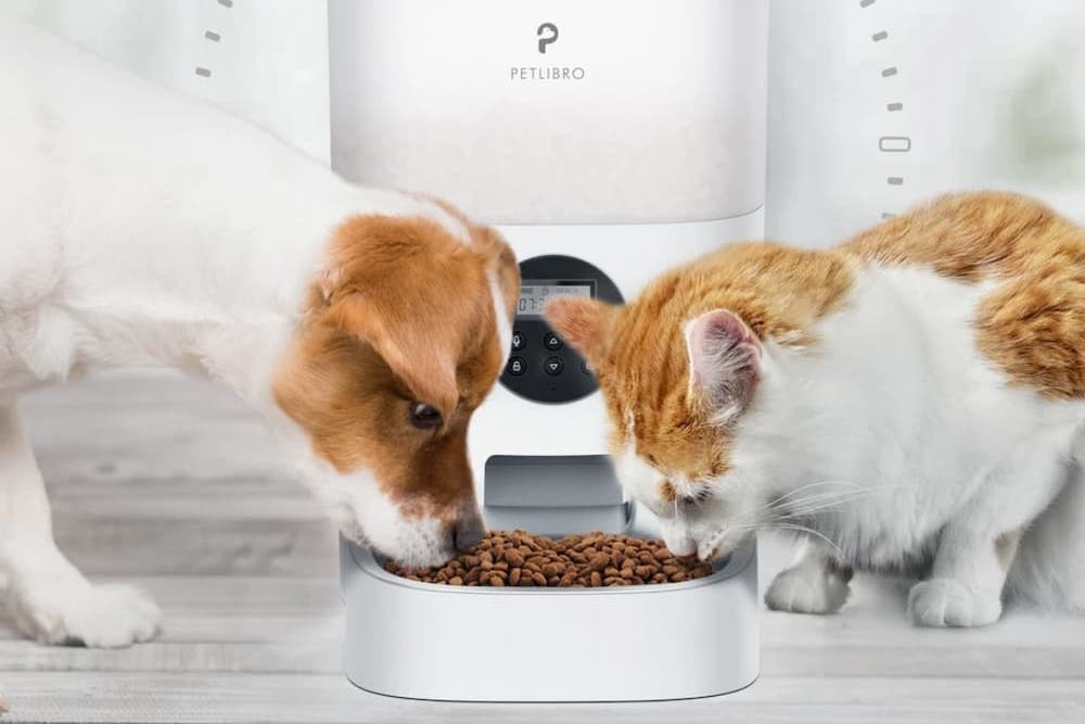 Petlibro Water Fountain and Auto Pet Feeder Review: A Peek at the Perks Petlibro Water Fountain and Auto Pet Feeder Review: A Peek at the Perks