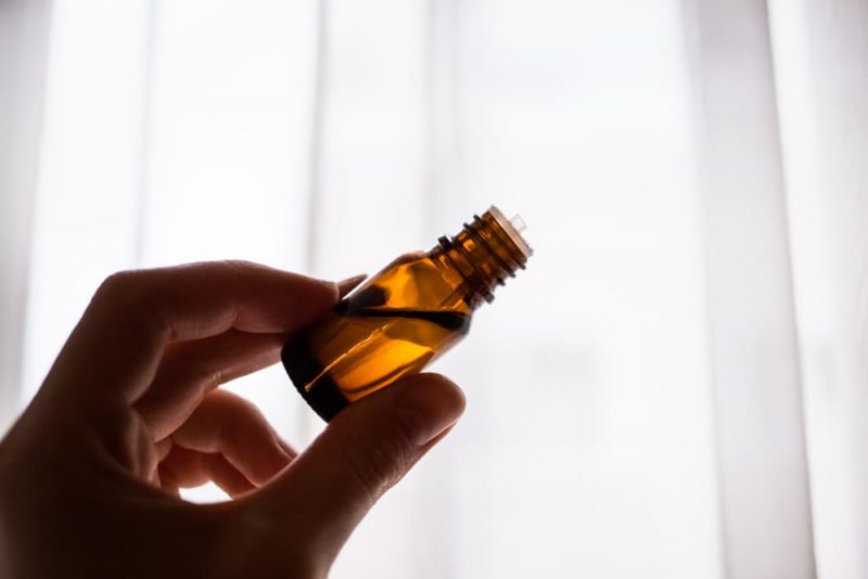 How To Give Cats Liquid Medicine Great Pet Care