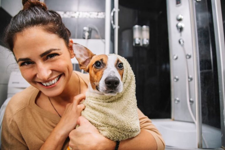 Neem Oil for Dogs Is It Safe? Great Pet Care