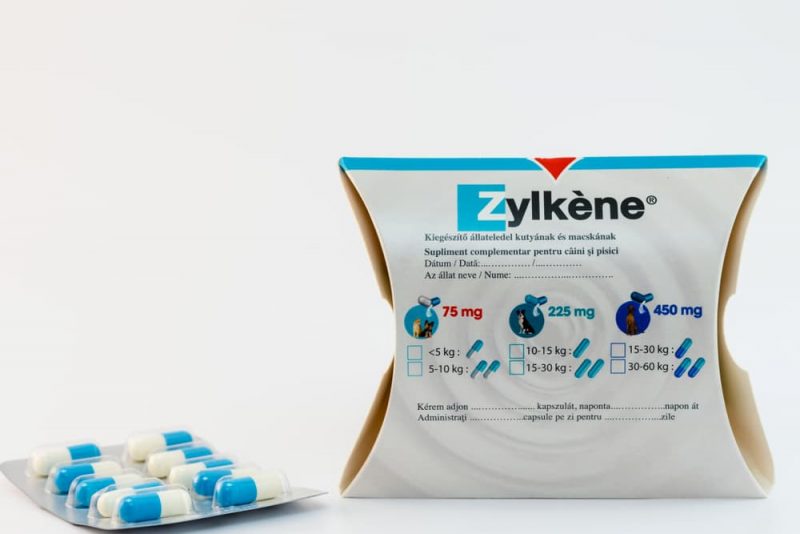 Zylkene for Cats Great Pet Care