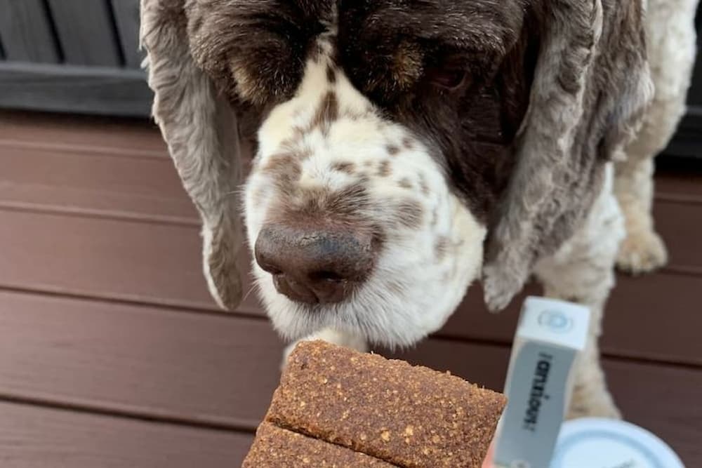Calming an Anxious Dog: A Review of The Anxious Pet Calming Products Calming an Anxious Dog: A Review of The Anxious Pet Calming Products