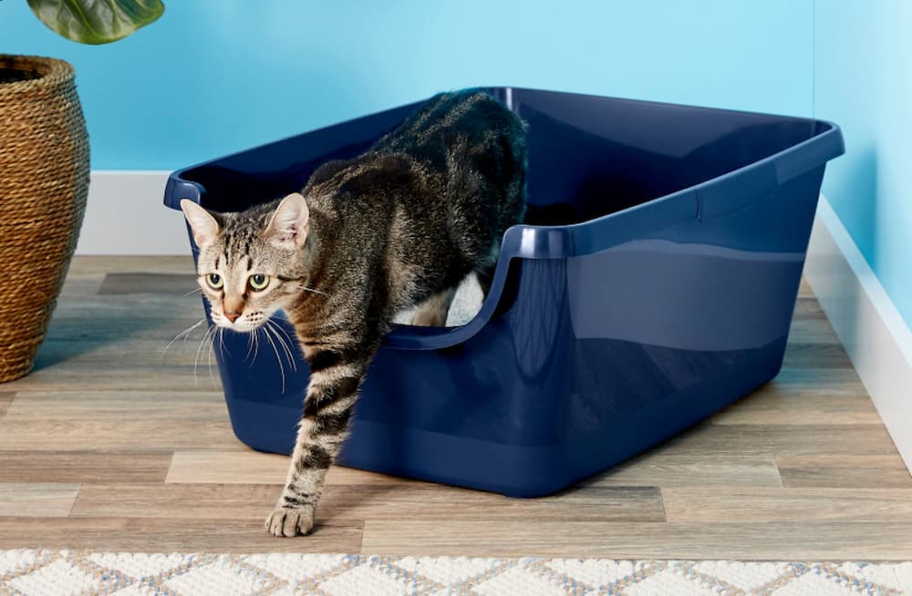 Frisco High Sided Cat Litter Box