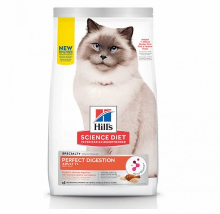 Best Senior Cat Food 8 Options to Consider Great Pet Care