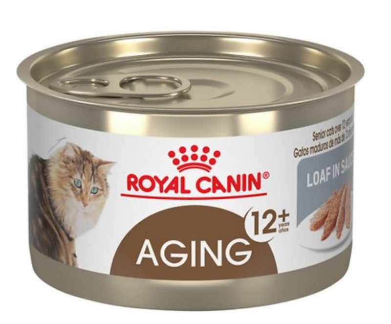 Best Senior Cat Food 8 Options To Consider Great Pet Care best-senior-cat-food-8-options-to-consider-great-pet-care