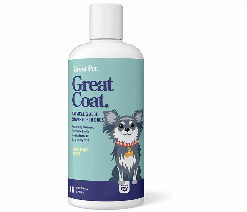 Itch Relief for Dogs Your Complete Guide Great Pet Care