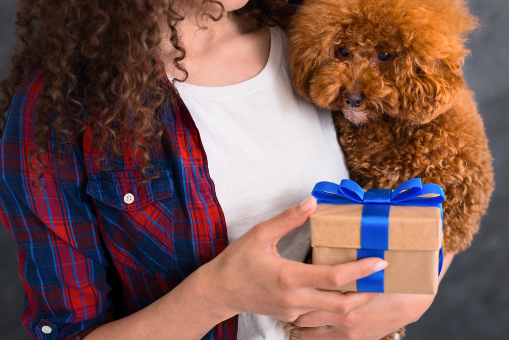 9 Best Gifts for Dog Lovers 9 Best Gifts for Dog Lovers