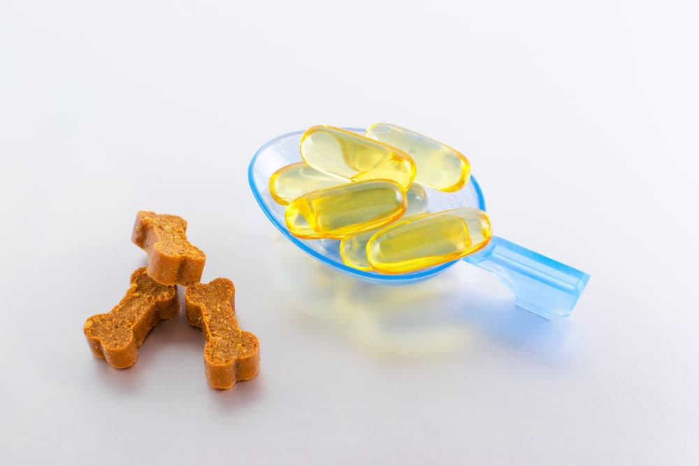 Vitamin E for dogs chewable treats and capsule form