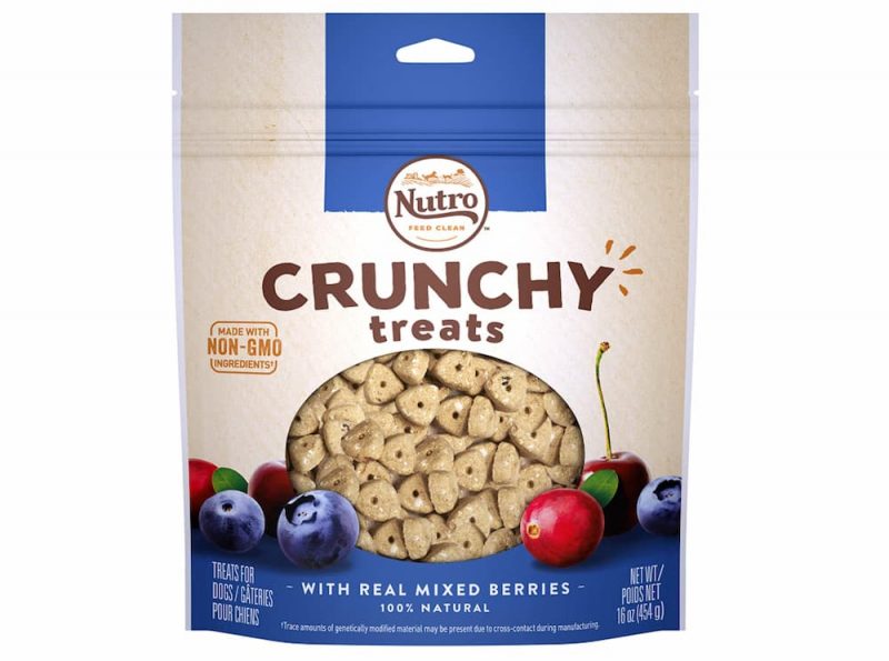 Can Dogs Eat Blueberries? Great Pet Care