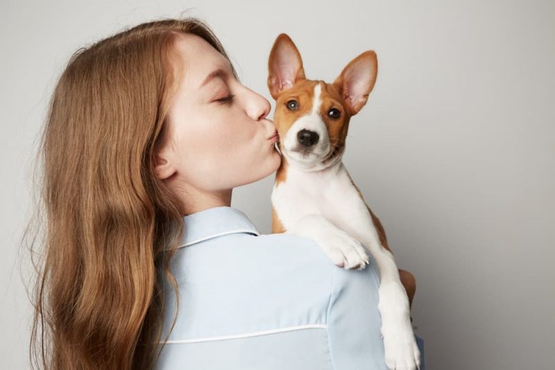 Image showcasing The Best Hypoallergenic, Low Dander Dogs | Great Pet Care