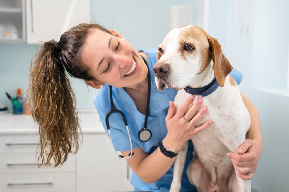 Happy vet sitting with dog