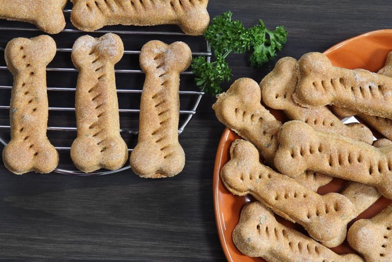 Canned Pumpkin for Dogs 9 Ways to Use It Great Pet Care