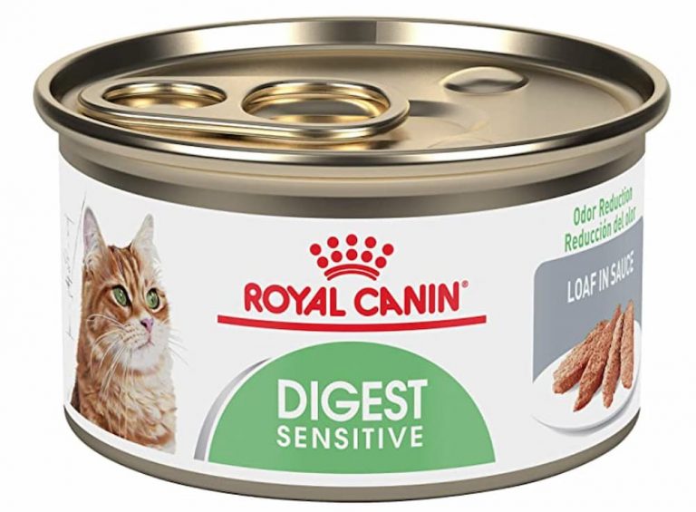 9 Best Sensitive Stomach Cat Foods Great Pet Care