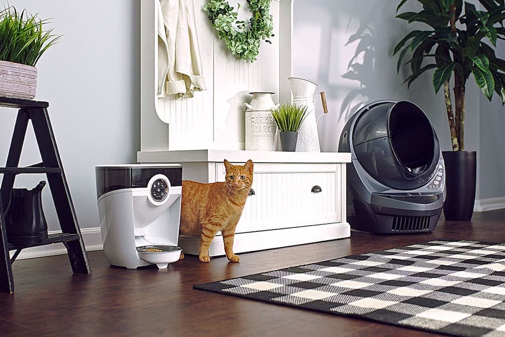 Whisker Litter-Robot and Feeder-Robot Review: Never Scoop Again or Miss a Feeding Whisker Litter-Robot and Feeder-Robot Review: Never Scoop Again or Miss a Feeding