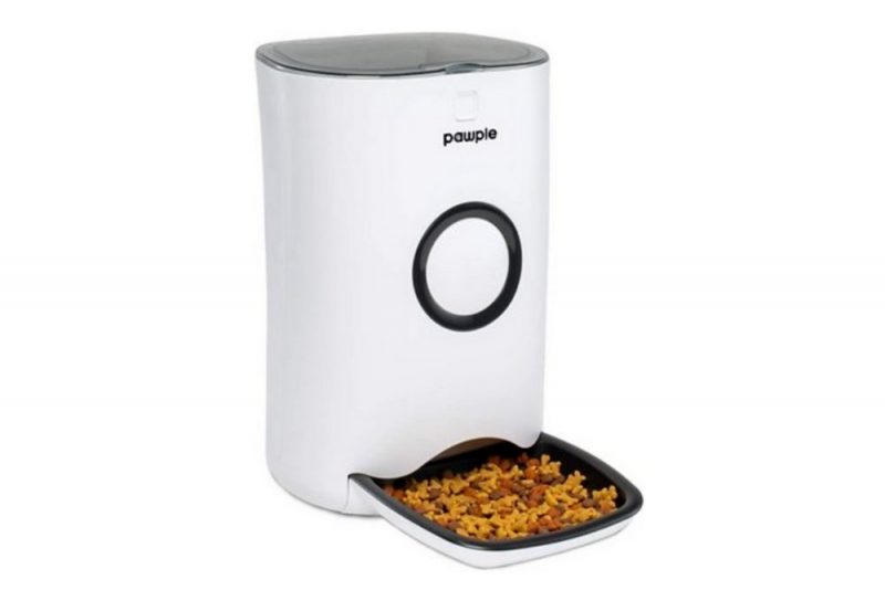 Why Does My Cat Meow So Much? Great Pet Care