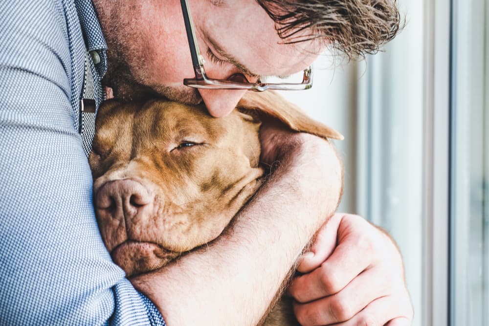 Sick dog being held by owner