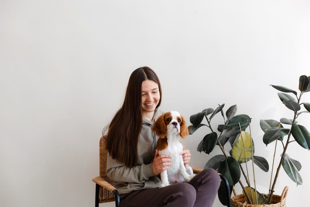 Dog sitting on alp of owner in a vet's office