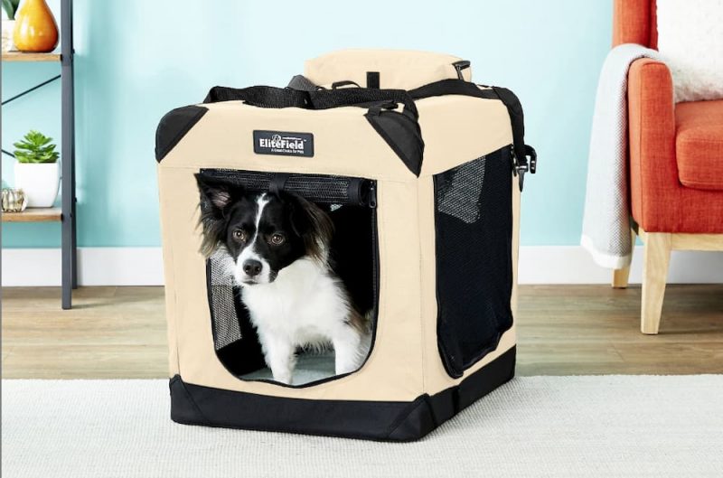 Types of Dog Crates Finding the Best for Your Pup Great Pet Care