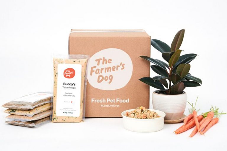 7 Best Chicken Free Dog Foods Of 2023 Great Pet Care