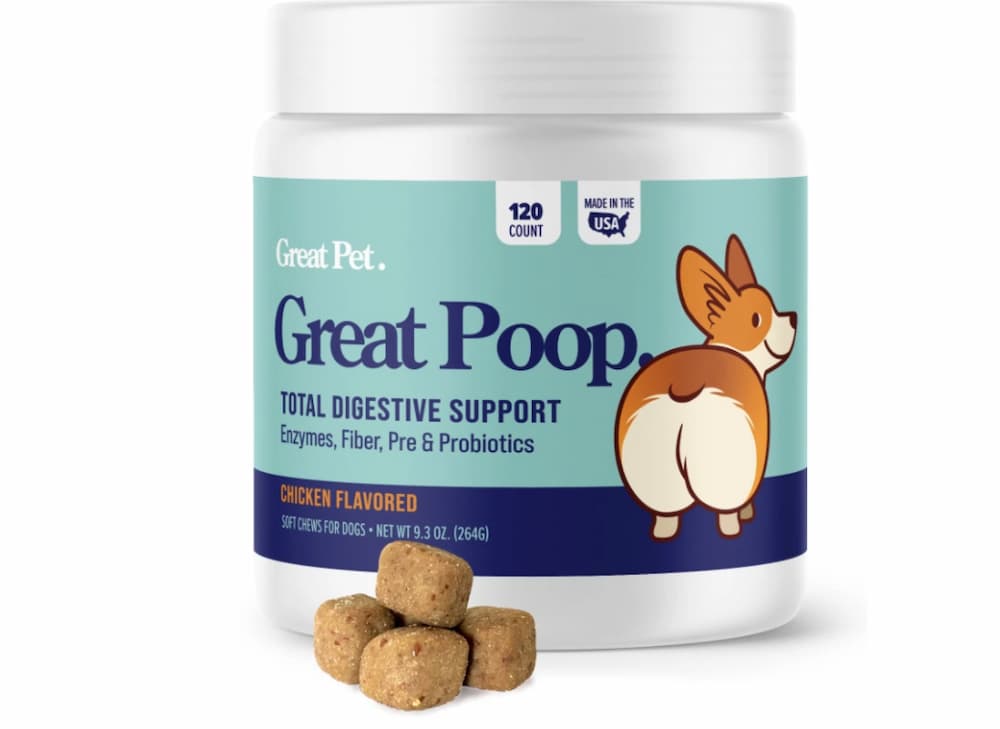 What Causes Mushy Poop In Dogs