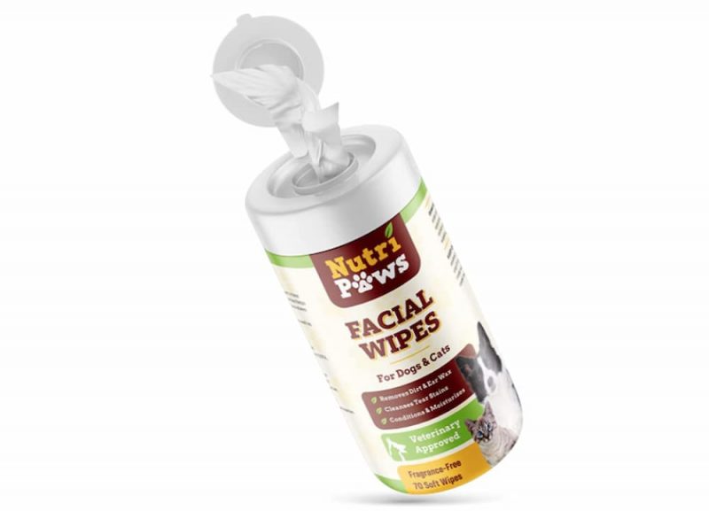 Can You Use Baby Wipes on Dogs? Great Pet Care