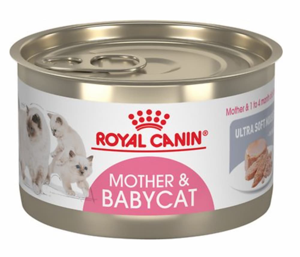 Royal Canin Mother and Babycat Ultra-Soft Mousse Royal Canin Mother and Babycat Ultra-Soft Mousse