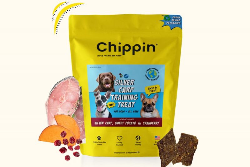 High Value Dog Treats What They Are and How to Use Them Great Pet Care