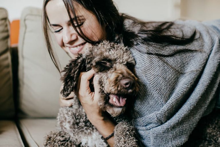 How to Keep a Dog Off the Couch Great Pet Care