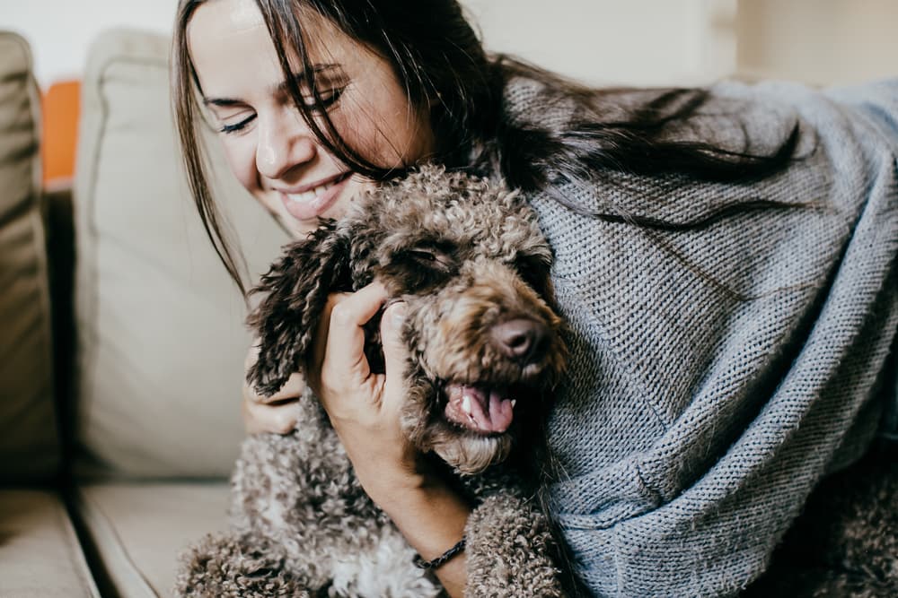 Owner hugging dog on their cozy couch