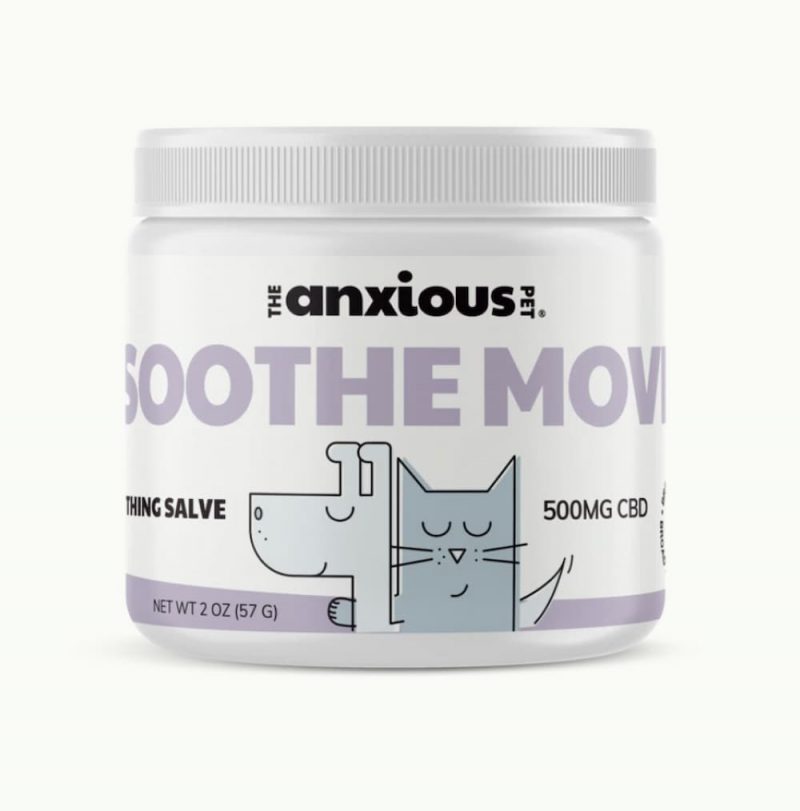 Dog Dry Nose Causes and How to Help Great Pet Care