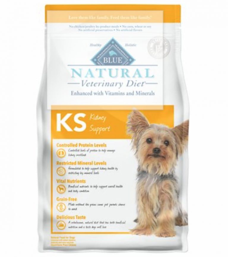 Low Phosphorus Dog Food: 4 Recommended Options | Great Pet Care