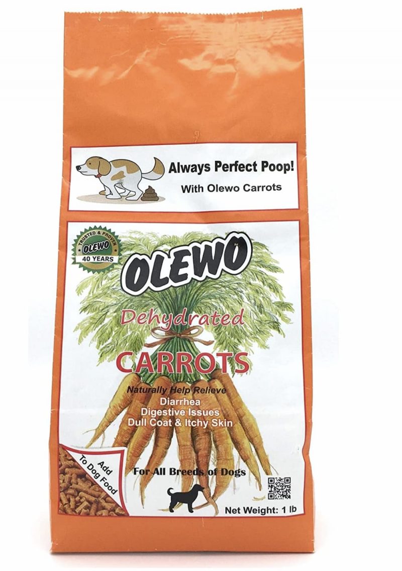 Dog Digestion Everything You Need to Know Great Pet Care