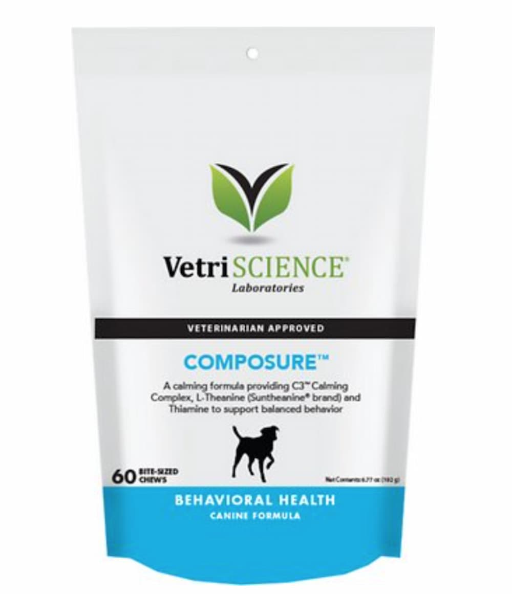 Dog Hyperventilating Why it Happens and How to Help Great Pet Care