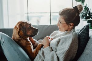Can Humans Get Fleas From Dogs? Great Pet Care