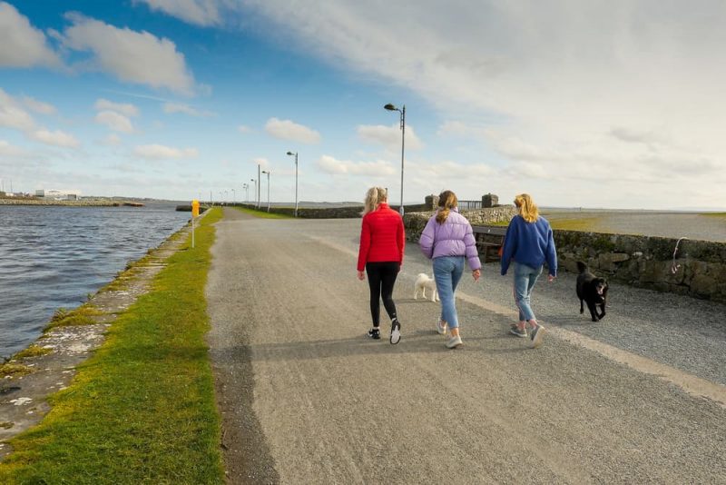 Dog Zoomies Understanding Why Dogs Run Like Crazy Great Pet Care