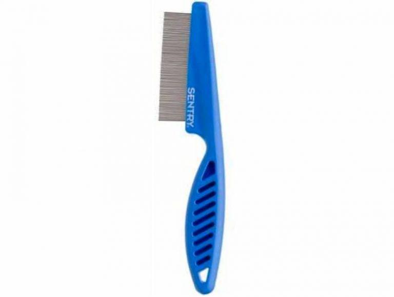 Flea Comb for Dogs How to Use One Great Pet Care