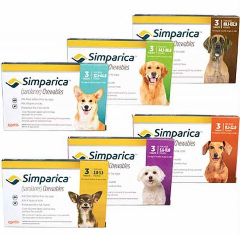Best Flea Medicine for Dogs VetApproved Options Great Pet Care