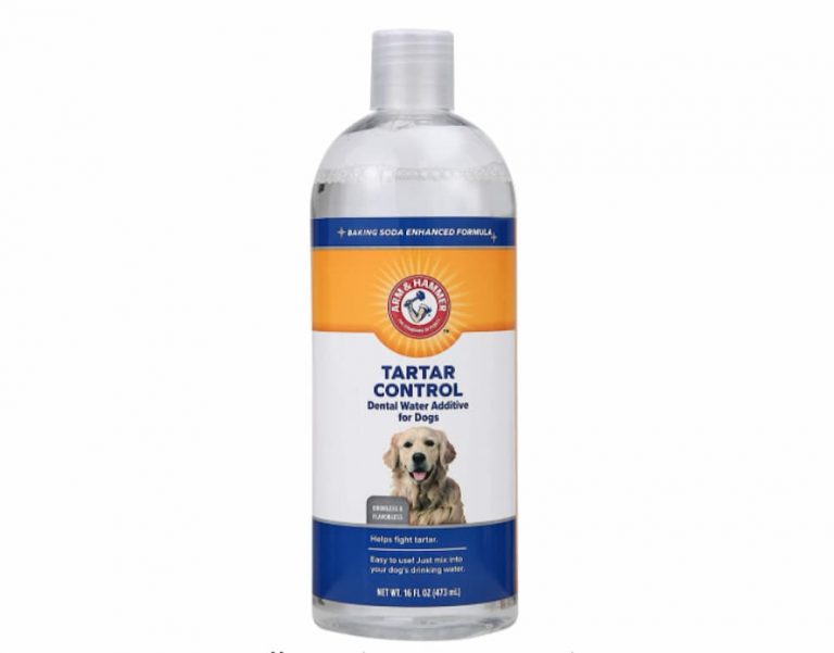 7 Best Water Additives for Dogs Great Pet Care