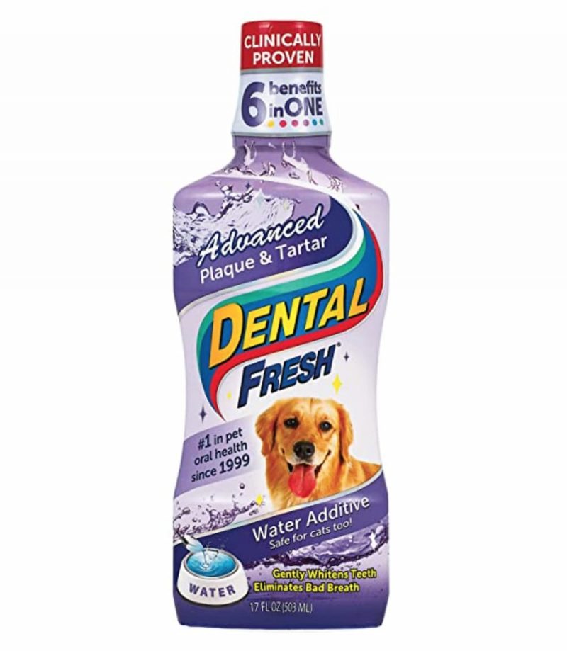 7 Best Water Additives for Dogs Great Pet Care