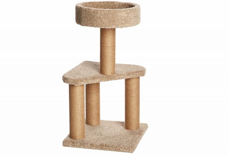 8 Best Cat Trees and Towers on Amazon Great Pet Care