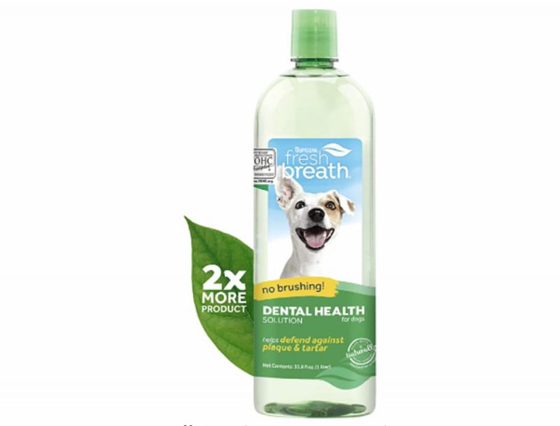 7 Best Water Additives for Dogs Great Pet Care