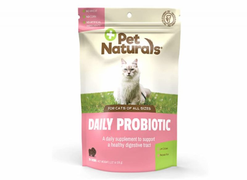 Inflammatory Bowel Disease (IBD) in Cats Great Pet Care