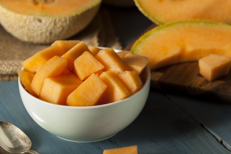 Can Dogs Eat Cantaloupe? Great Pet Care