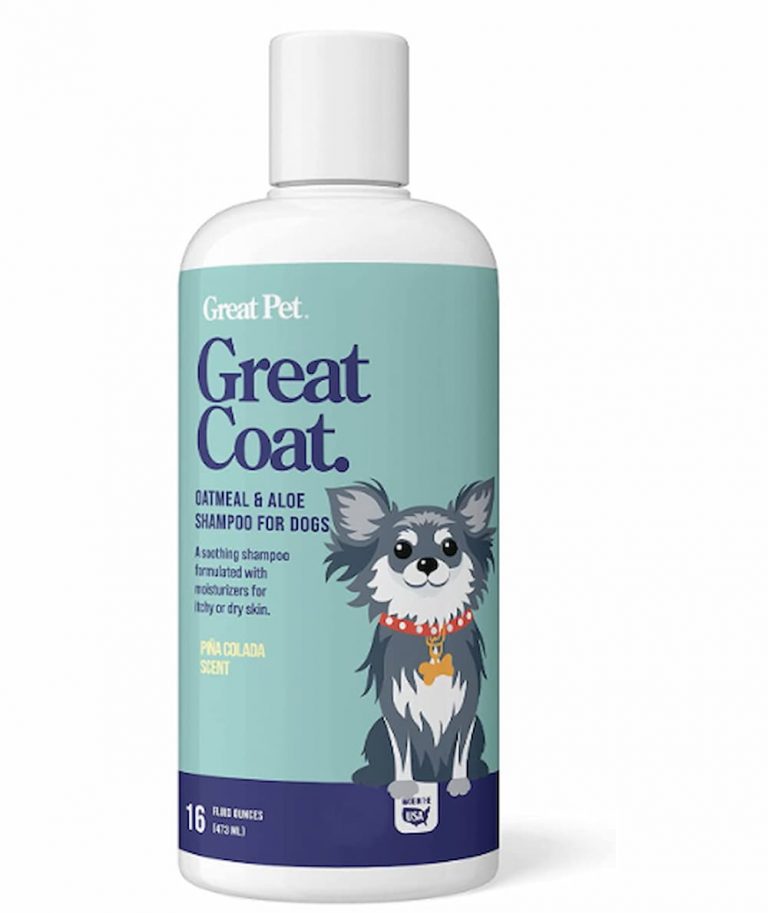 Aloe Vera for Dogs Benefits and Products to Try Great Pet Care