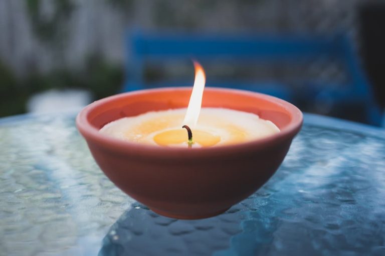 Is Citronella Safe for Dogs? Great Pet Care