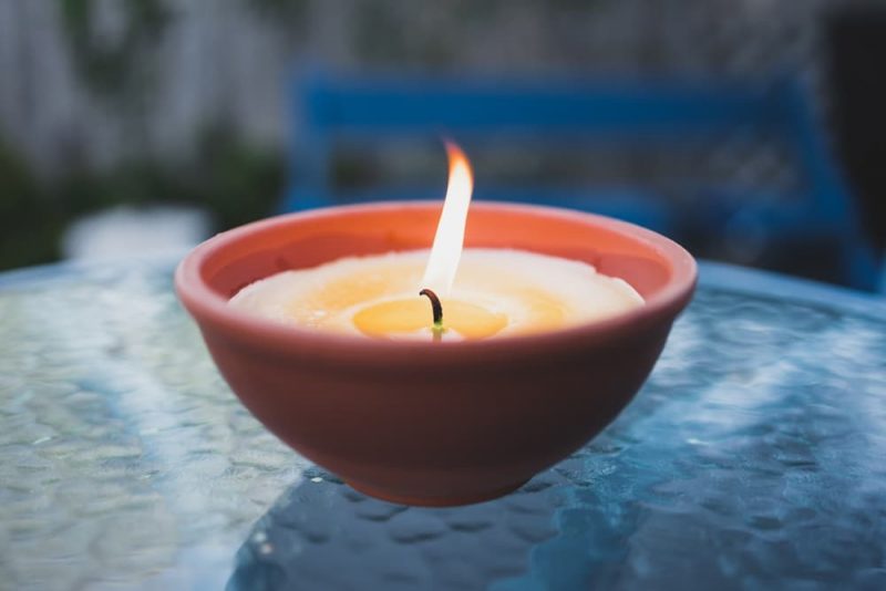 Is Citronella Safe for Dogs? Great Pet Care