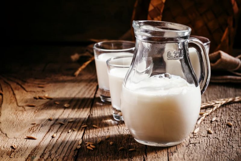 Goat’s Milk for Dogs Benefits and Uses Great Pet Care