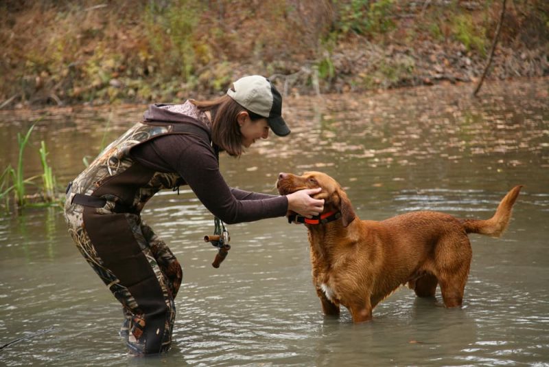 33 Hunting Dog Names for Adventurous Canines Great Pet Care