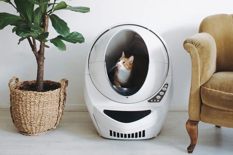 whisker litter robot