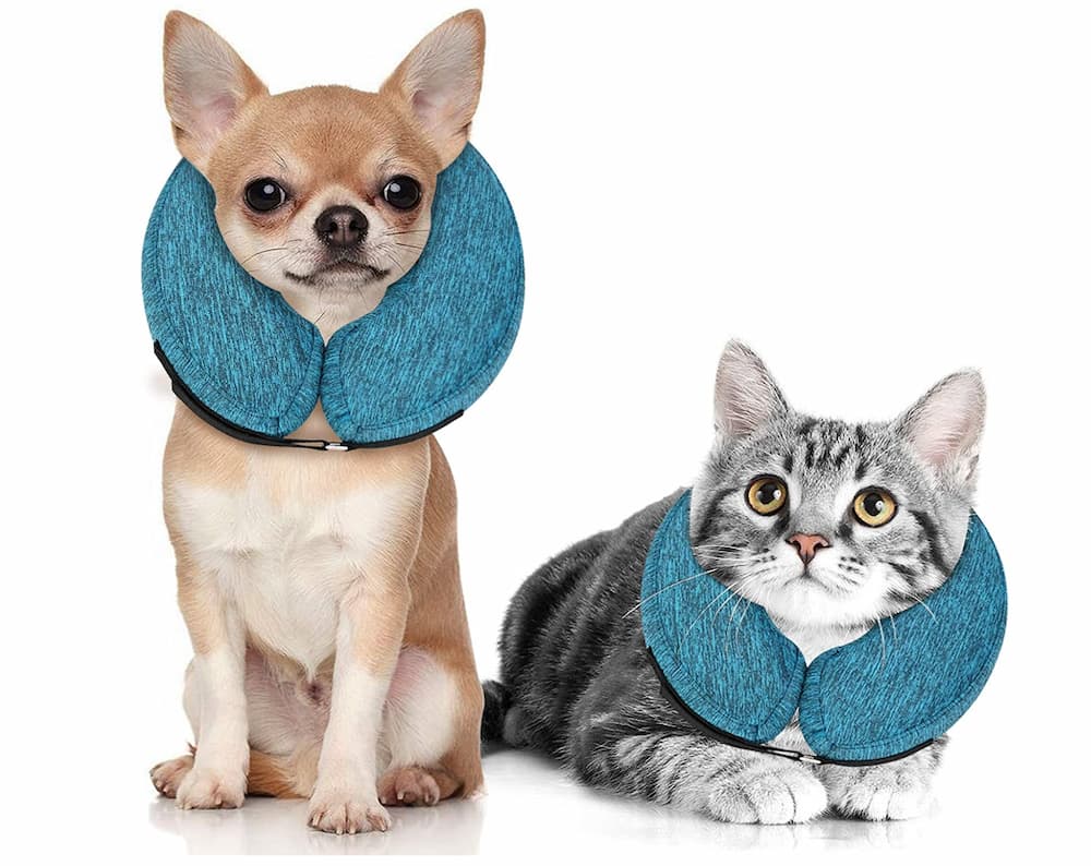 soft collars for cats