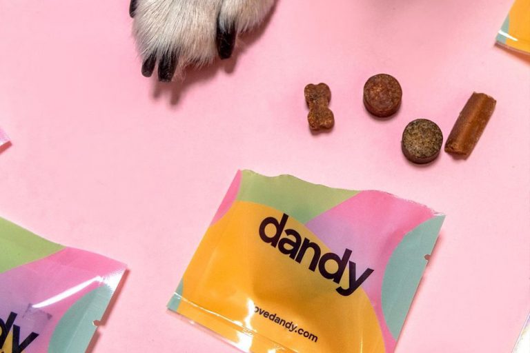 Vitamins and Minerals Required in Dog Nutrition Great Pet Care